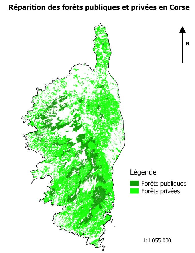 Répartition forêt publique et privée en Corse