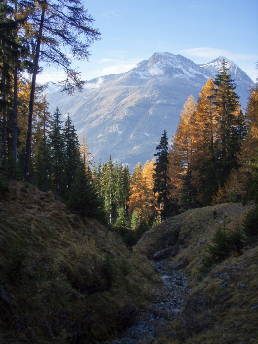 Paysage de Maurienne