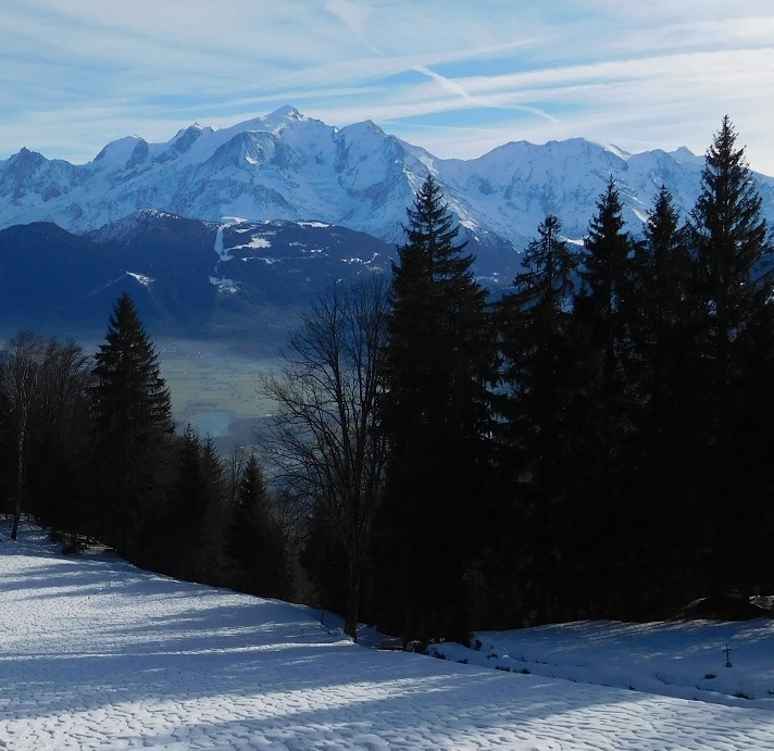 Paysage du Pays du Mont-Blanc