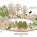 travaux_de_plantation_CRPFAuvergne
